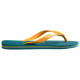 Havaianas Brasil Logo Havaianas Brasil Logo